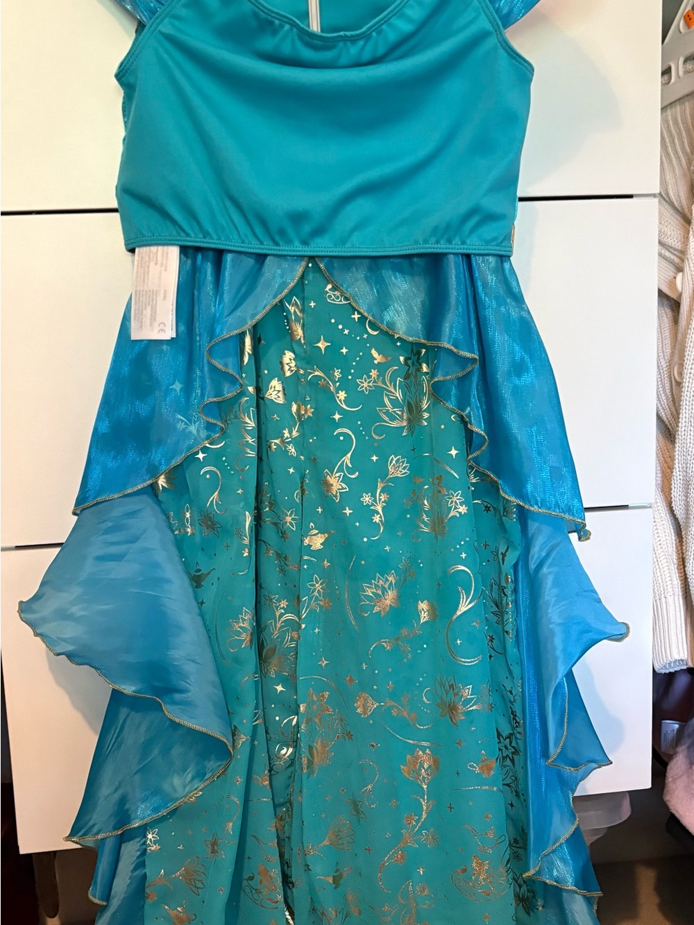 Disney Jasmine costume 5-6